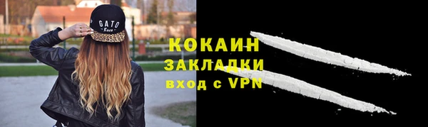 PSILOCYBIN Майский