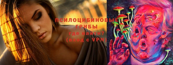 apvp Мегион