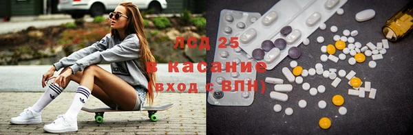 PSILOCYBIN Майский