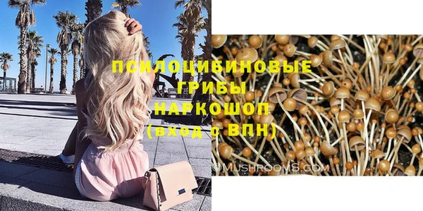 apvp Мегион