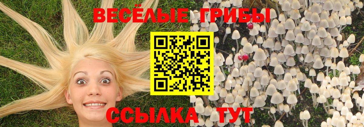 Галлюциногенные грибы Magic Shrooms  Галлюциногенные грибы Psilocybine cubensis  Десногорск 