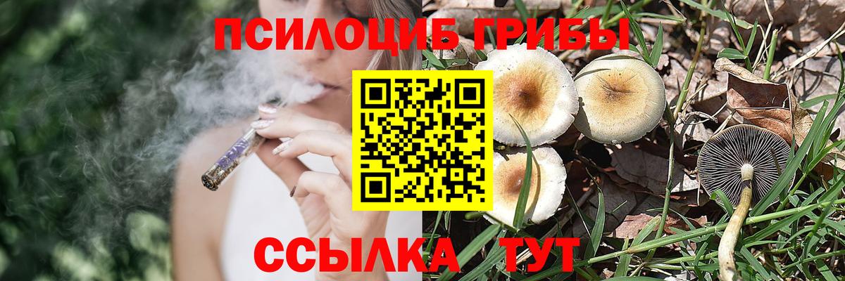 Псилоцибиновые грибы мухоморы  Вход с VPN  Десногорск 